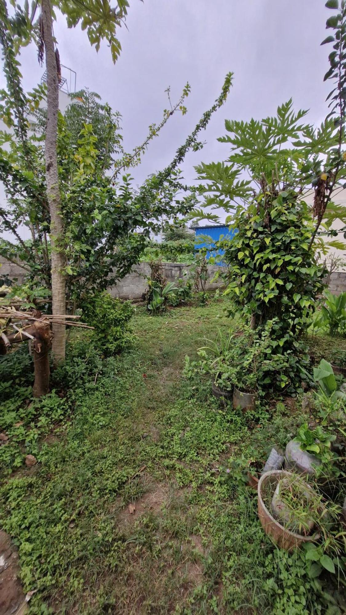 Malgudi Mane Homestay Chikmagalur Exterior photo